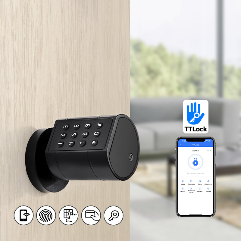 스마트 유로형 원통형 도어락, TTLock 앱 연동,  - Smart Home Door Lock 리뷰 및 가격